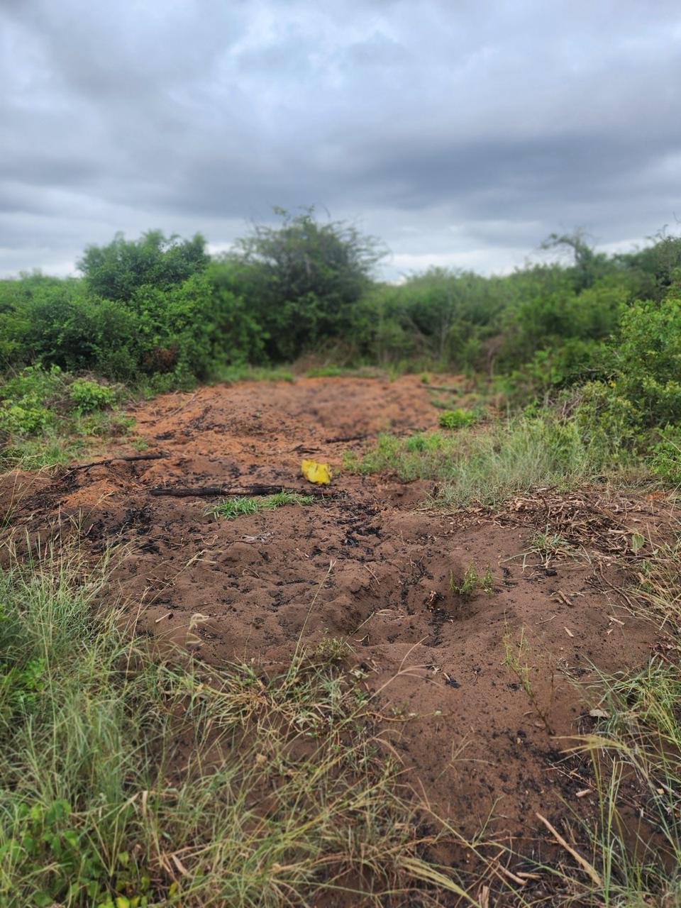 Terreno virgem